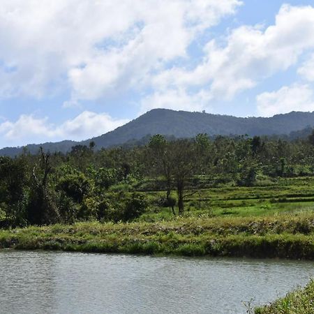 Camp Coorg Apartment Madikeri Ngoại thất bức ảnh